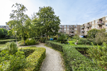 Werkhovenstraat eo